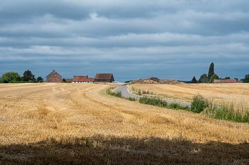 Contrastes de couleurs dans les champs agricoles wallons sur Werner Lerooy