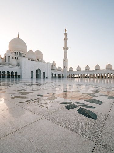 Mosquée Sheikh Zayed (Abu Dhabi) le soir / heure d'or