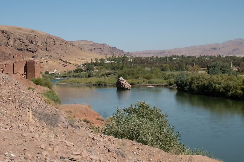 Shoja by Maarten Verhees