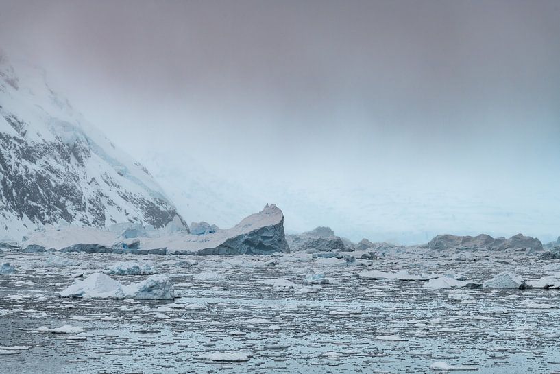 Ice world Antarctica by Nanda Bussers