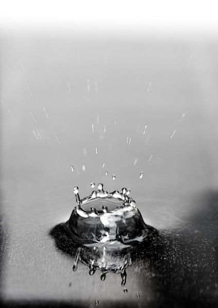 Macrofoto van een vallende druppel in water in zwart wit von Thomas Poots