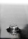 Macrofoto van een vallende druppel in water in zwart wit van Thomas Poots thumbnail