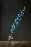 Blue flower in vase