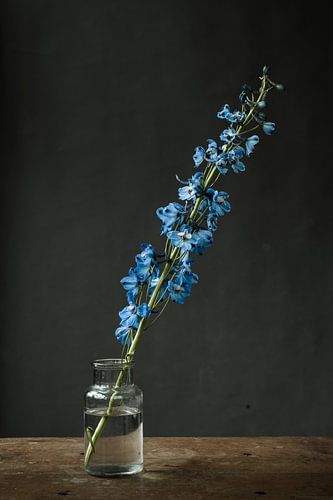 Foto print van blauwe bloem in glazen vaasje tegen grijze achtergrond