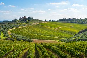 Radda in Chianti Weinberge Landschaft. Toskana, Italien