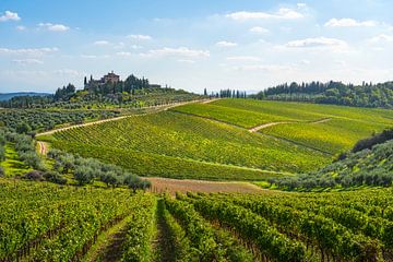 Radda in Chianti wijngaarden landschap. Toscane, Italië van Stefano Orazzini