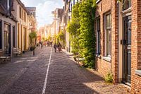 Zon op de Walstraat in Deventer Overijssel tijdens de Zomer.