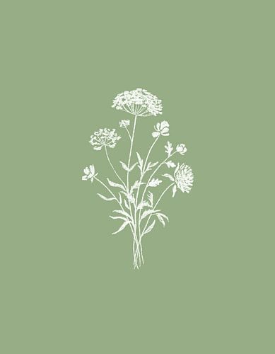 Field flower illustration olive green by KPstudio