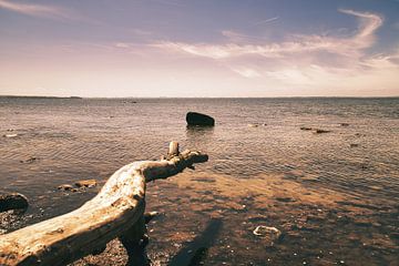 Poel aan de Oostzee. Boomstam steekt uit in de Oostzee en werpt een schaduw