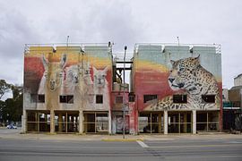 Wandmalereien von Alfredo Segatori von Frank's Awesome Travels