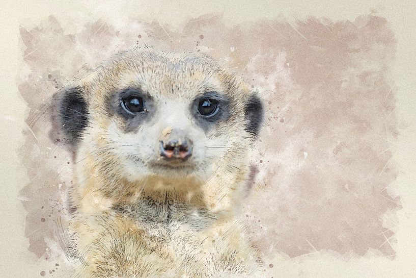 Erdmännchen von Bert Quaedvlieg