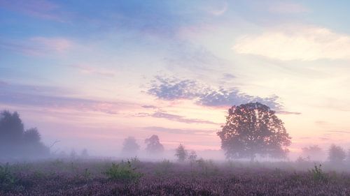 At the start of a new day #3