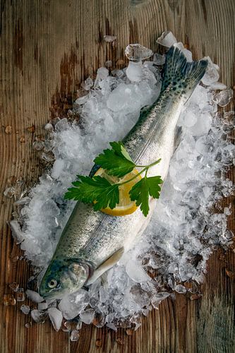 Forel