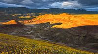 Painted Hills, John Day Fossil Beds National Monument by Henk Meijer Photography thumbnail