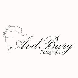 A. van der Burg Profile picture