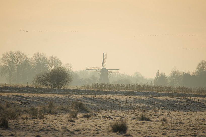 Dutch mill in Slochteren by Brenda Verboekend