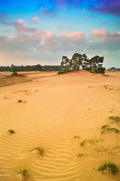 Zonsondergang Kootwijkerzand van Jan Koppelaar