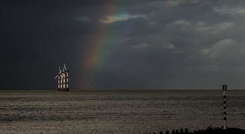 rainbow 