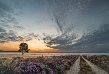 Der Weg zum Horizont 2 von Peter Bijsterveld