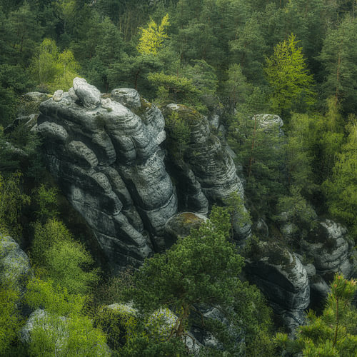 Suisse saxonne