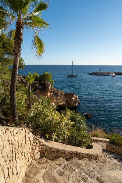 Stone steps lead into a bay on the Mediterranean by Adriana Mueller