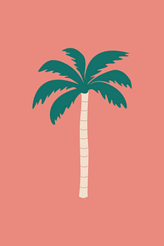 Tropical Palm Tree