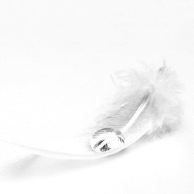 Tear on an feather by Anja Jooren