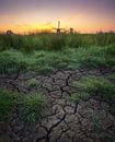 Molen in landschap tijdens zonsopkomst van Tomas van der Weijden thumbnail