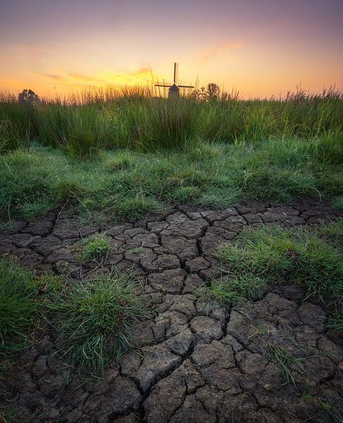 Molen in landschap tijdens zonsopkomst van Tomas van der Weijden