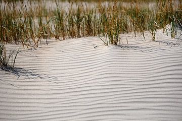 Zandduin met gras van Ines Thun