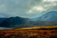 Donegal