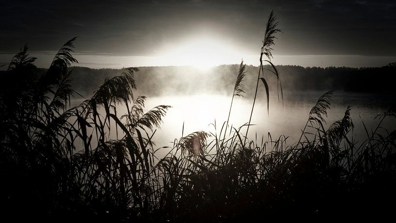 ochtendnevel over het meer van Jonas Demeulemeester