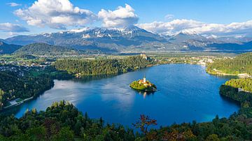 Meer van Bled vanaf uitzichtpunt (Slovenië)