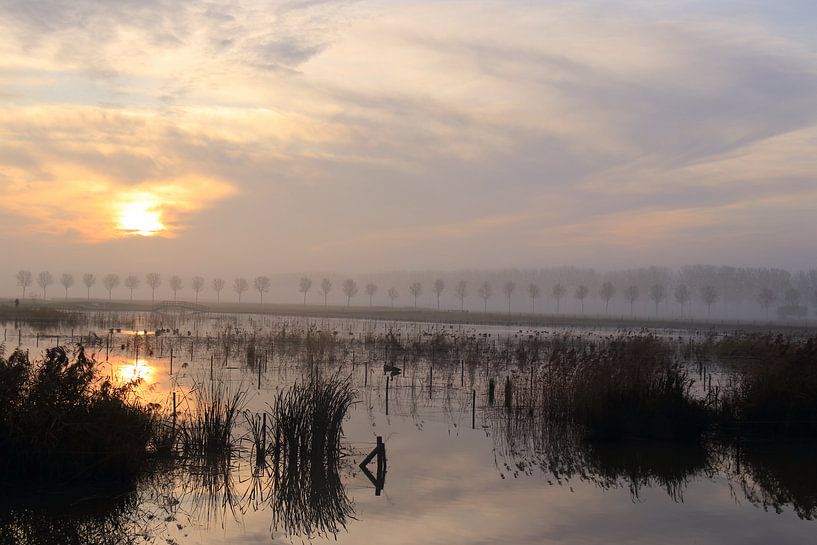 Landscape with sunrise at park Lingezegen Arnhem Elst by Bobsphotography