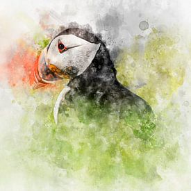 Puffin watercolour portrait by Elles Rijsdijk