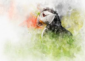 Portrait de macareux à l'aquarelle