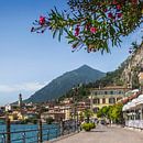 GARDASEE Idyllische Uferpromenade in Limone sul Garda  van Melanie Viola thumbnail