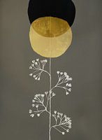 The Seed I
