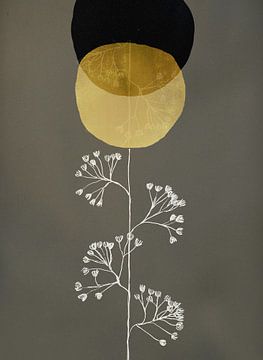 The Seed I