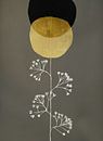 The Seed I van Marianna Geraci thumbnail