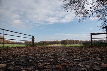 Vue des champs en automne sur Arjen Tjallema