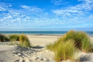 dutch dunes and beach