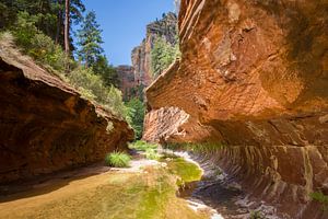 Oak Creek Canyon, wunderschöne Schlucht in der Nähe von Sedona