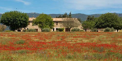 Landschaft im Luberon