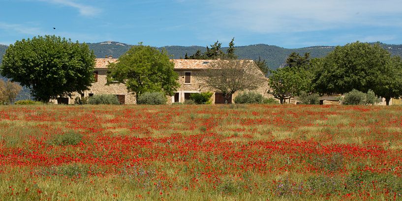 Landschaft im Luberon von Annie Keizer