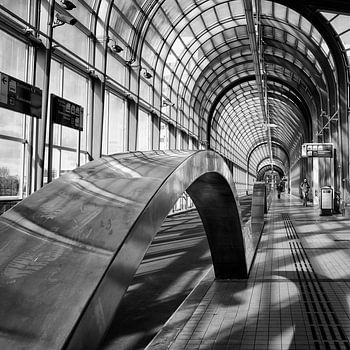 Nelson Mandelabrug Zoetermeer