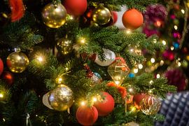 opgetuigde kerstboom van mick agterberg