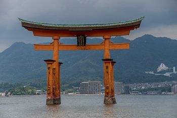 Oranje torii Miyajima Japan