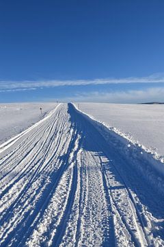 A snowmobile trail in a field under blue skies by Claude Laprise