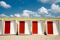 Zomer in Bergen aan Zee